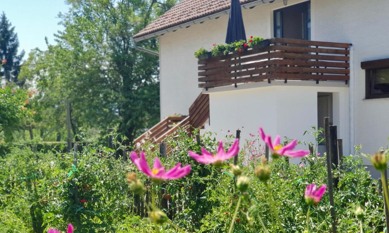 Apartment Murva Drežnik Grad Buitenkant foto