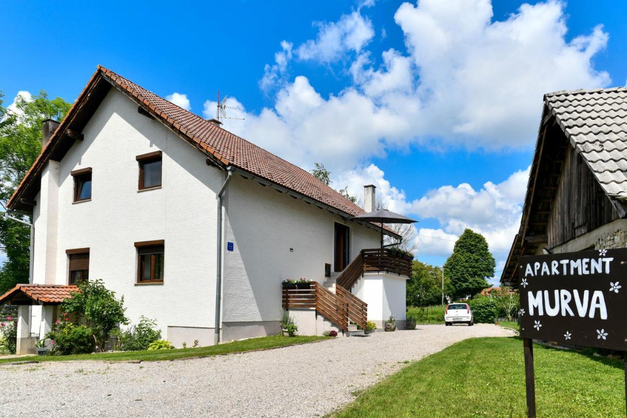 Apartment Murva Drežnik Grad Buitenkant foto