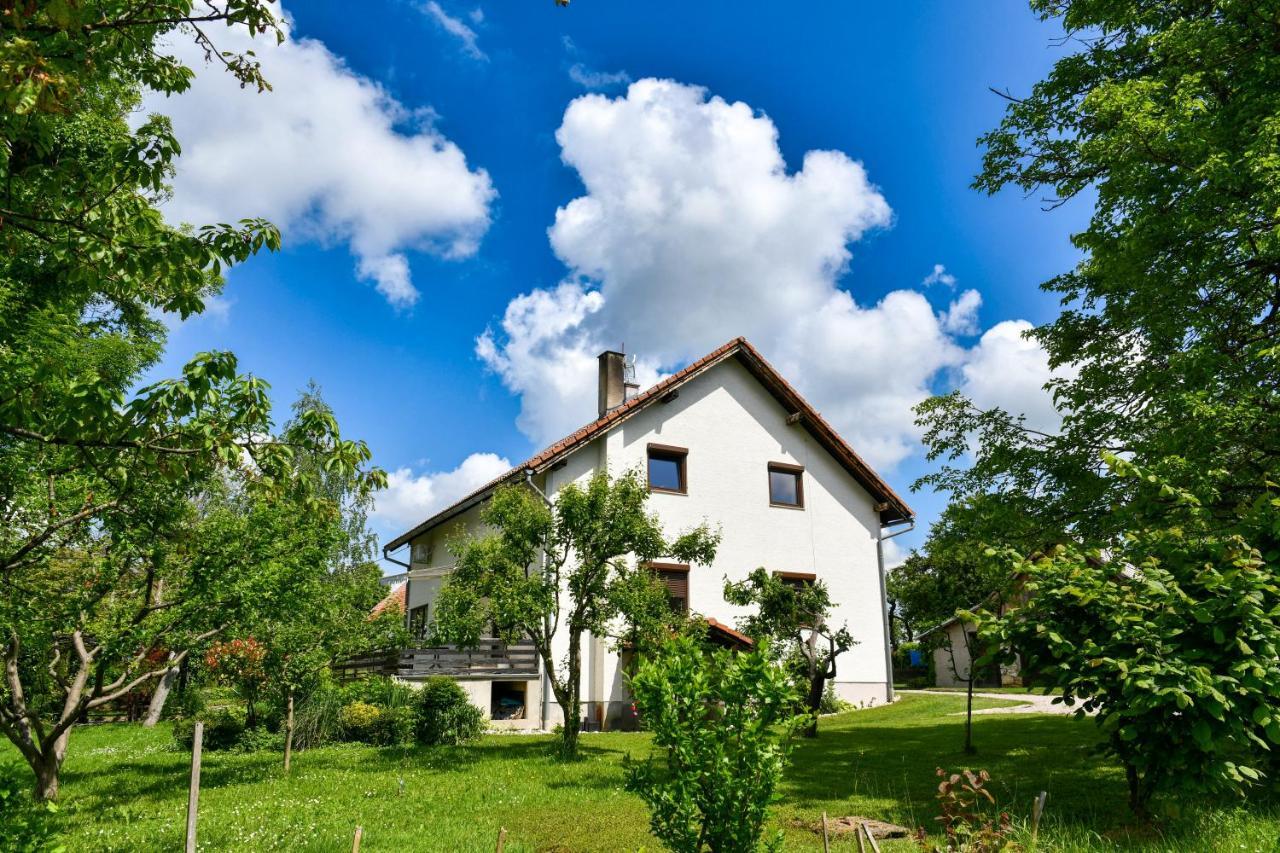 Apartment Murva Drežnik Grad Buitenkant foto