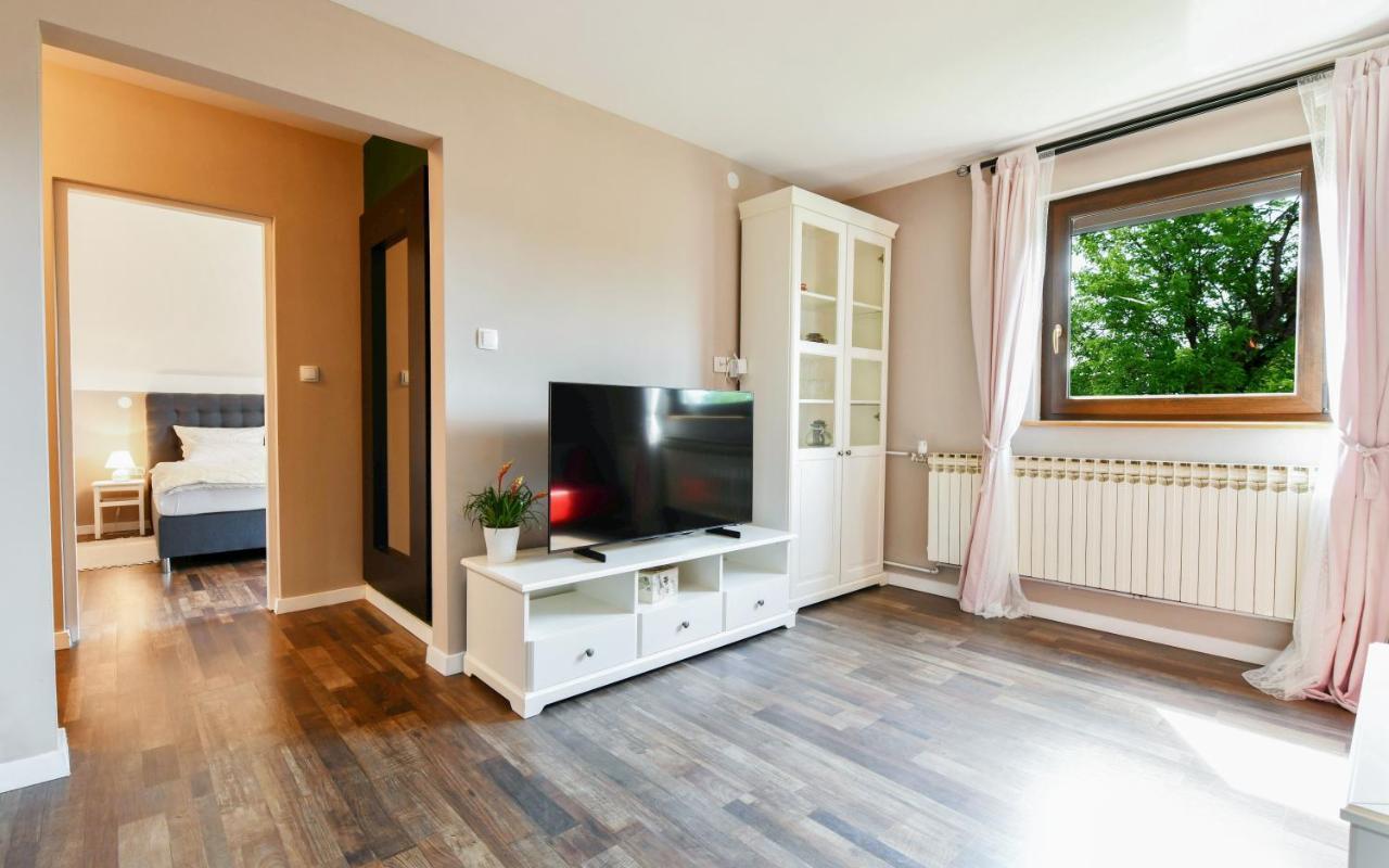 Apartment Murva Drežnik Grad Buitenkant foto