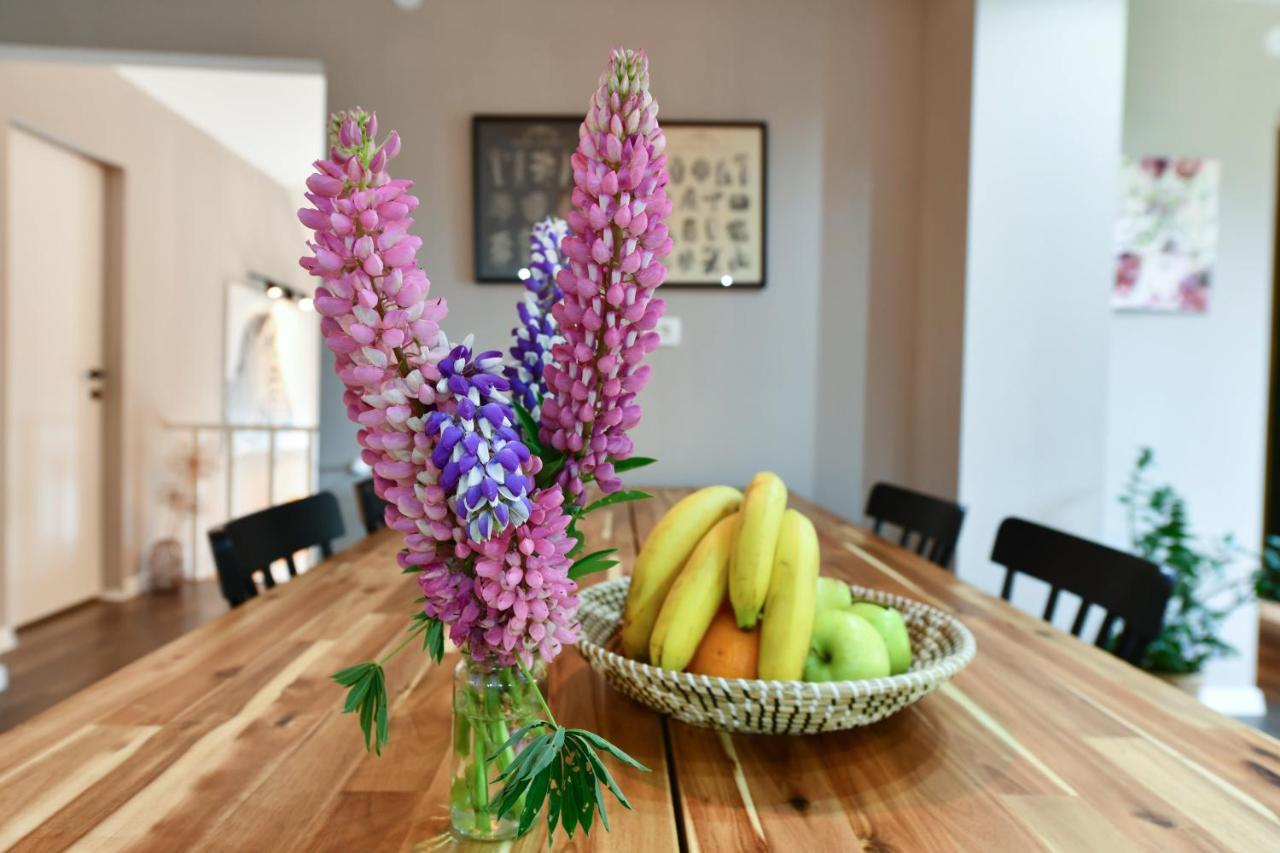 Apartment Murva Drežnik Grad Buitenkant foto